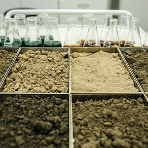 Sample Preparation, Laboratory Classification and Chemical Tests
